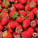 Amazing Health Benefits of Strawberries 