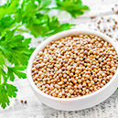 Coriander: The Miracle Herb in Your Kitchen…