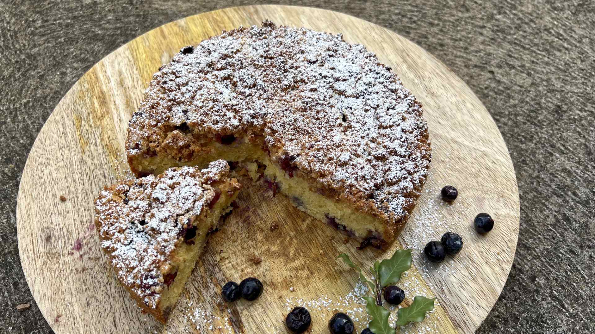 Blueberry Crumble Cake