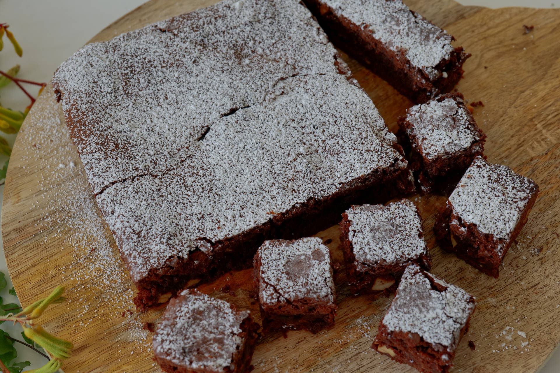 Chocolate Brownies