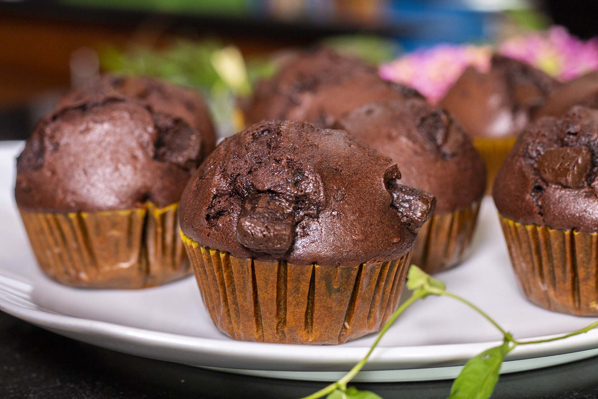 Double Chocoalte Muffins