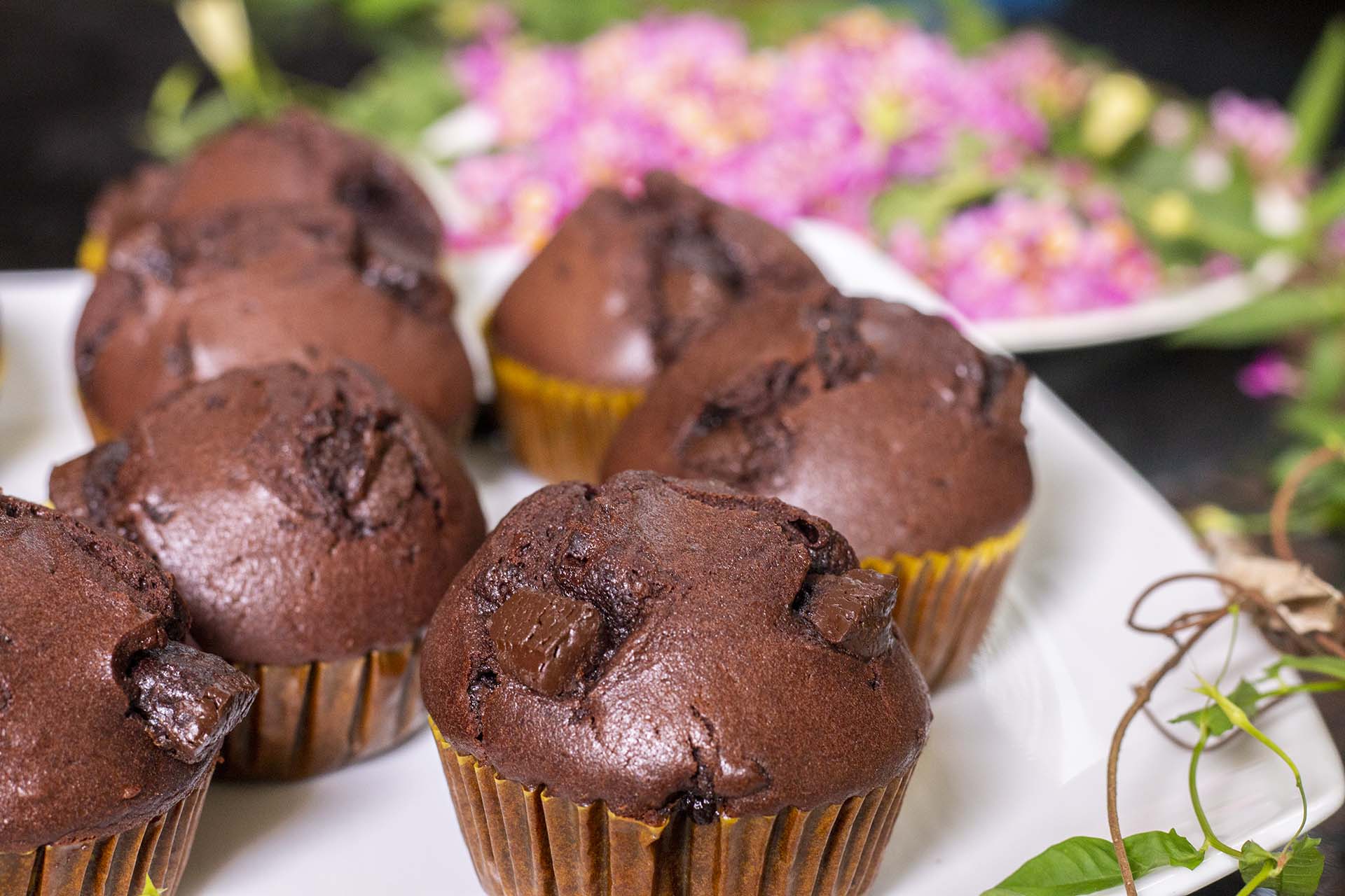 Double Chocolate Muffins