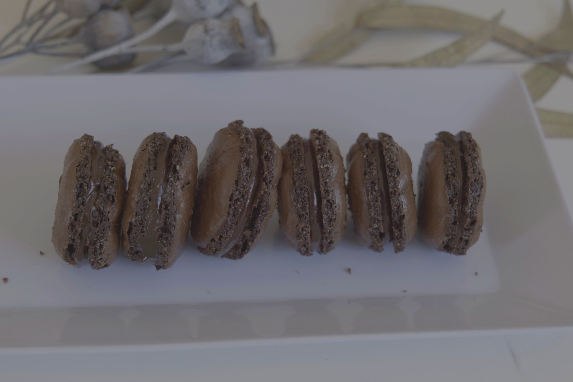 French Chocolate Macarons