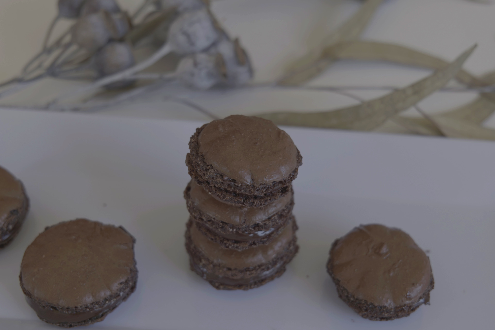 French Chocolate Macarons