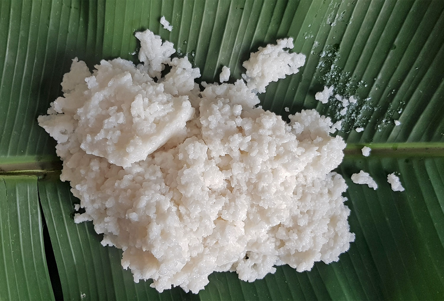 Milk Rice on banana leaf