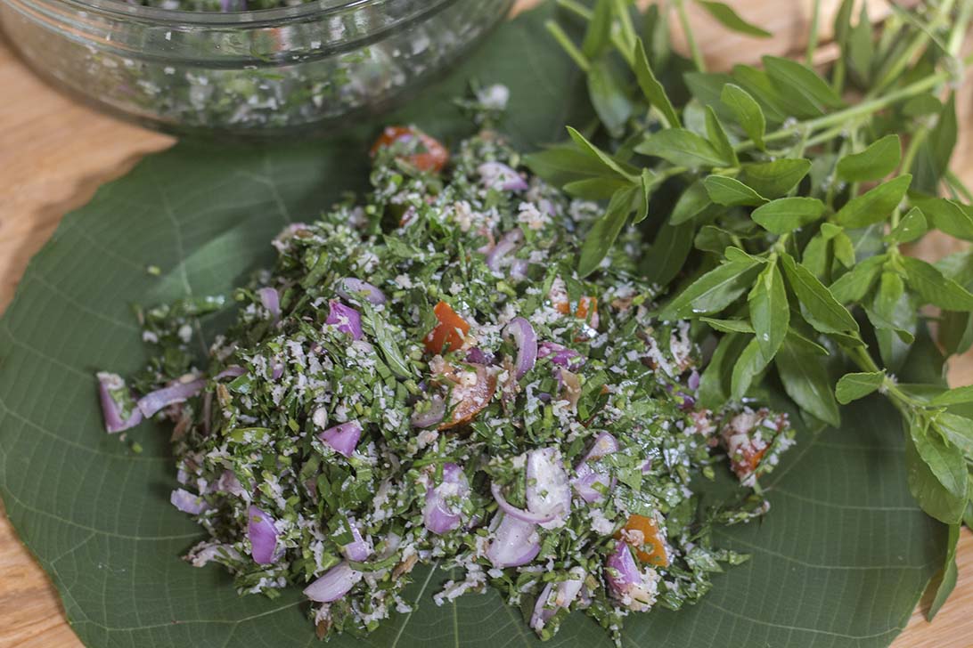 Close up view of Mukunuwenna Salad