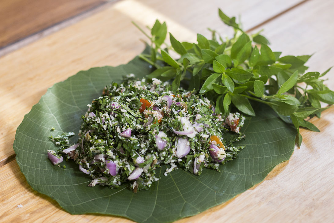 Fresh Mukunuwenna Salad on a Kenda Leave