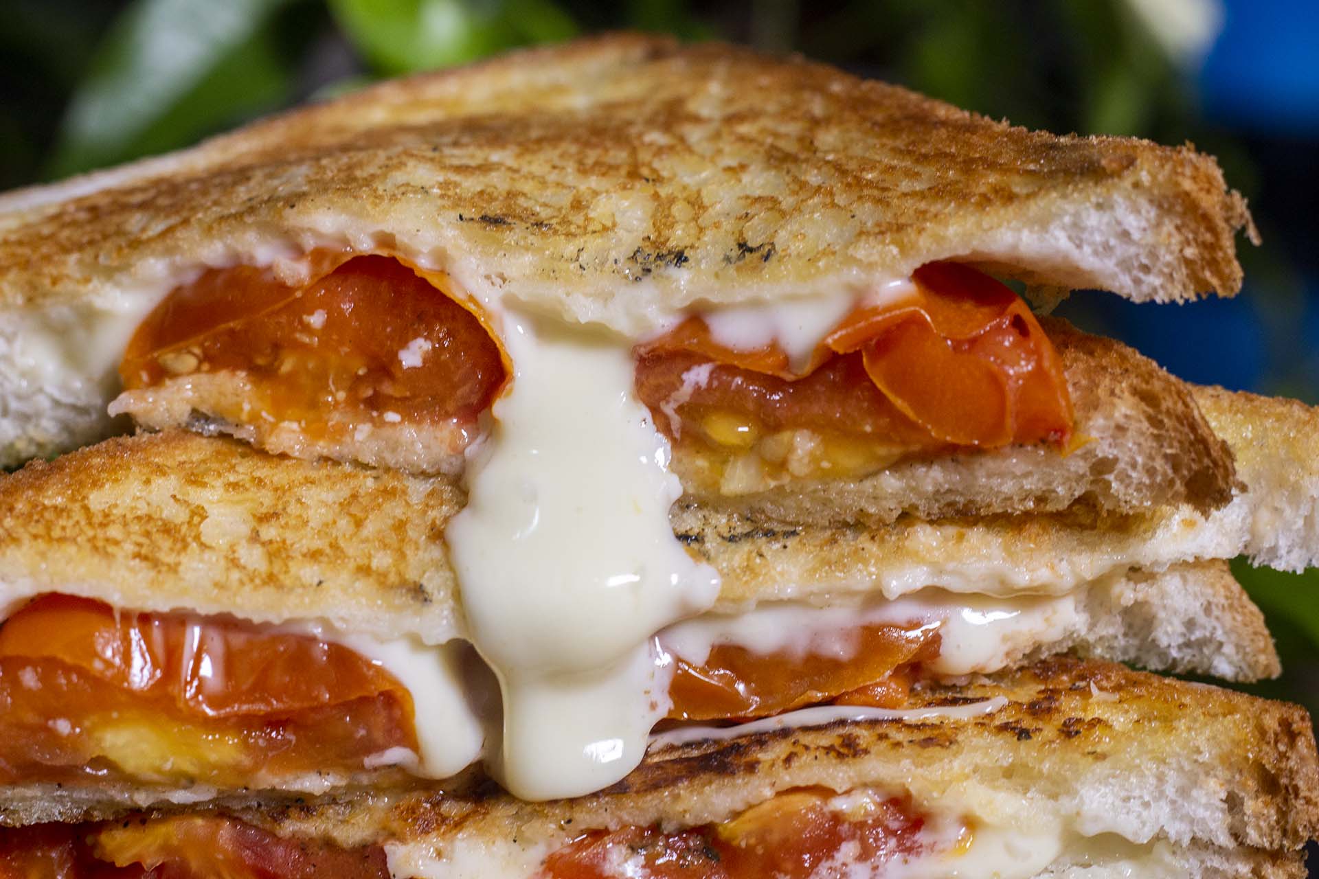 Roasted Tomato Grilled Cheese Sandwich