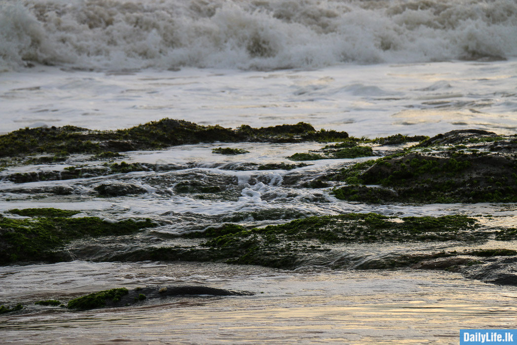 Bentota Beach