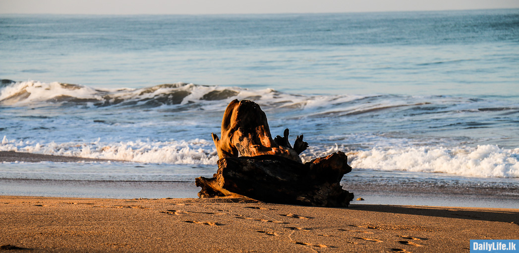 Bentota Beach