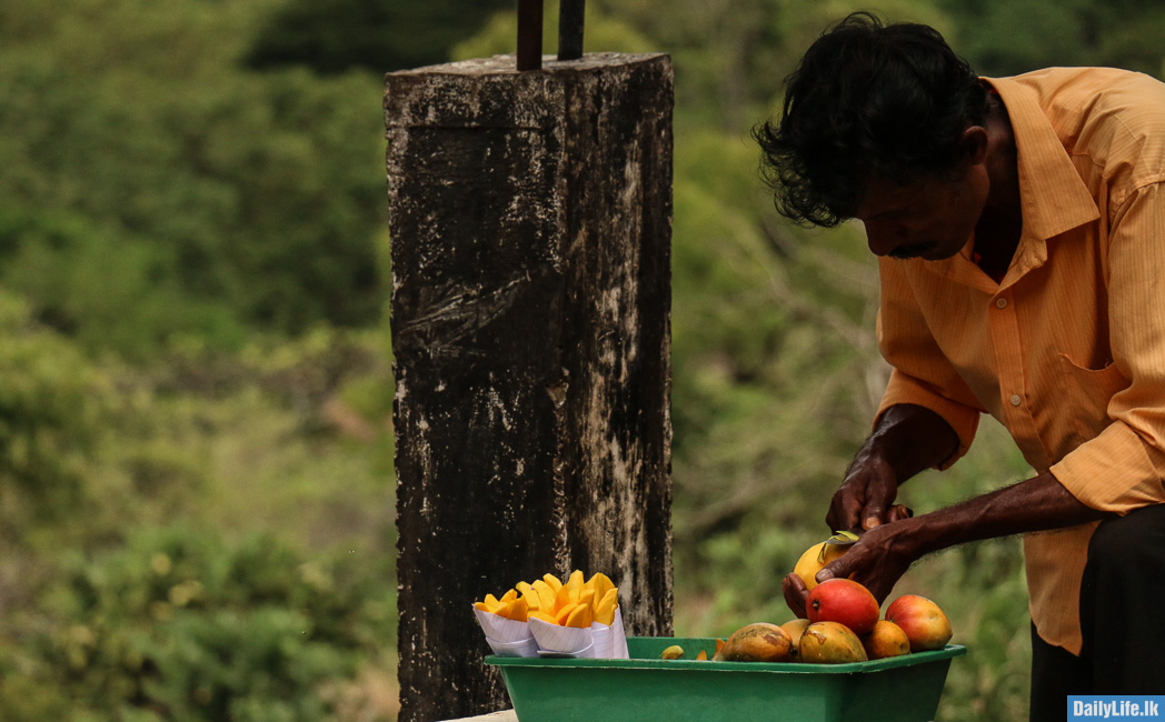 Mango Seller