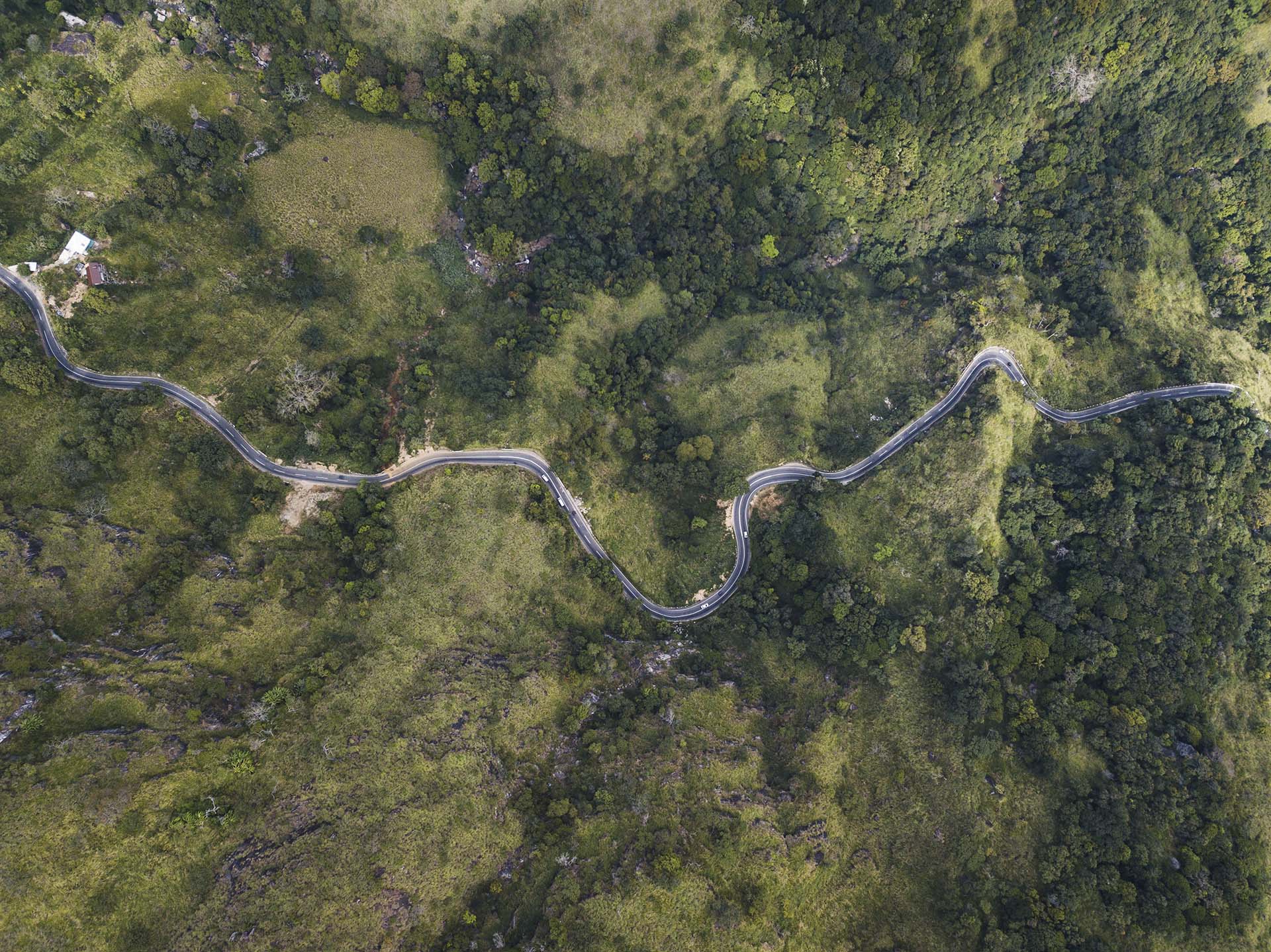 Looking down from Ella Rock