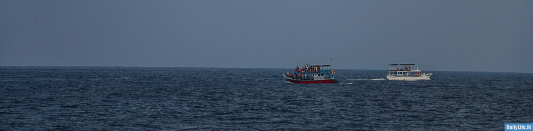 Whale watching boats